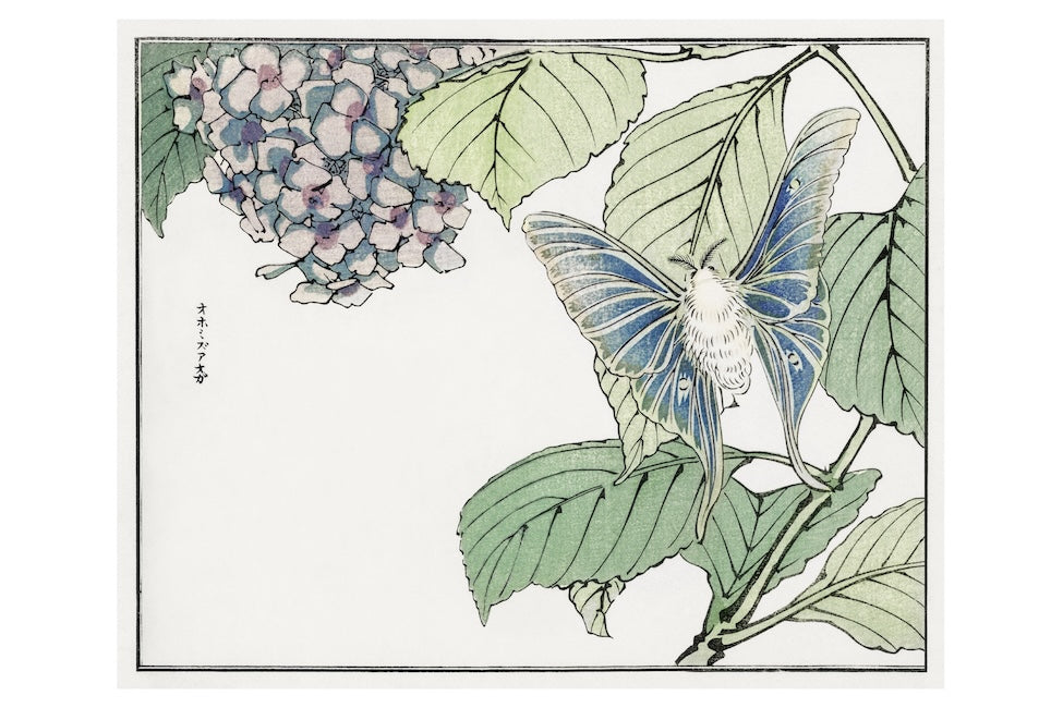 The Art of Japanese Wood Block Printing: 100 postcards from the masters