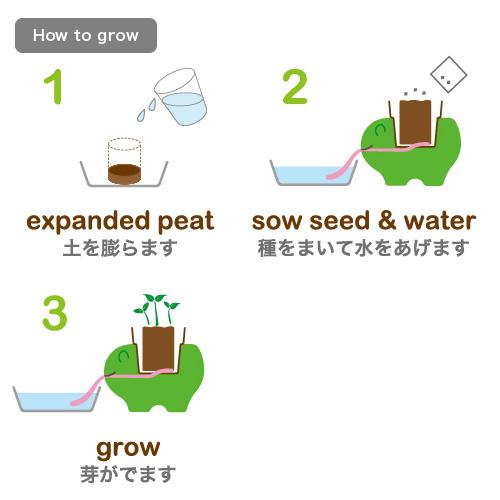 Noted Peropon Plant Growing Kit - Cat (Wild Strawberry)