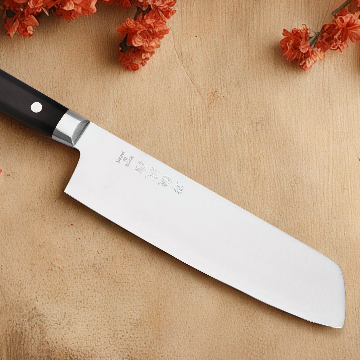 Pateru Warikomi Nakiri Knife 18cm