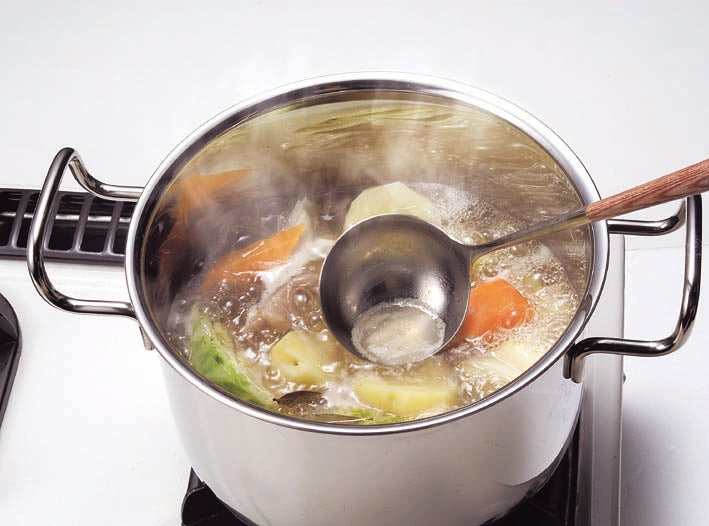 Miyazaki Hattori Geo Stew Pot 22cm