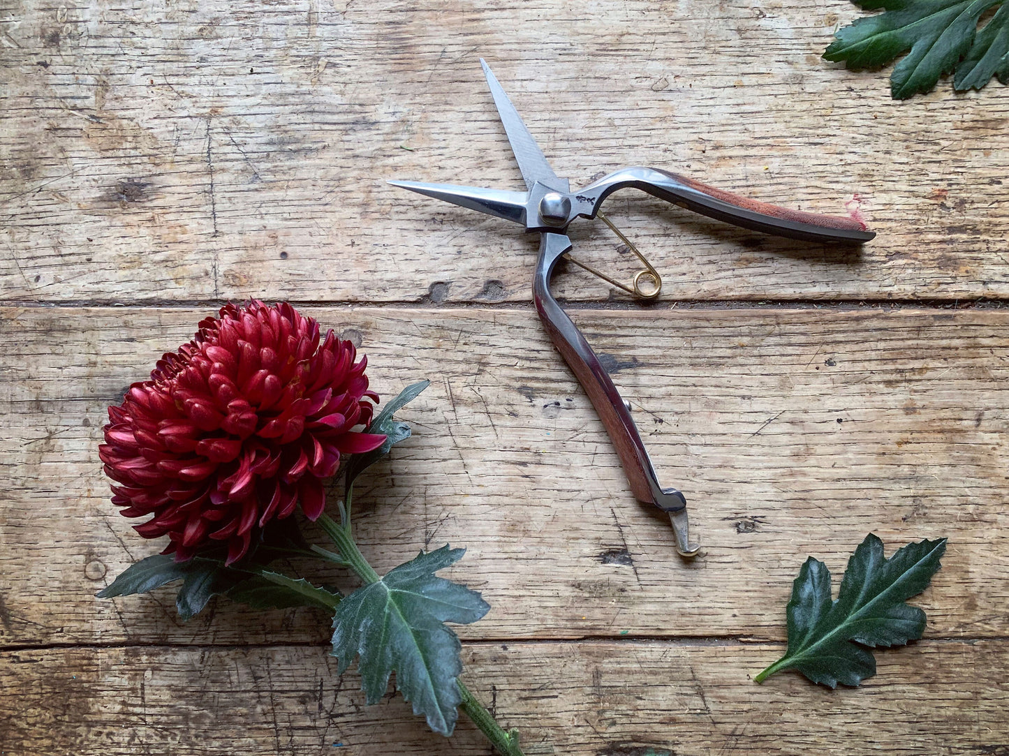 Niwaki Kurumi Pro Snips