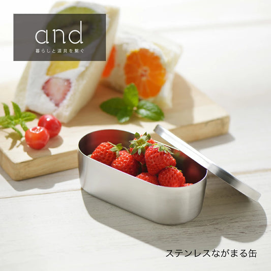 and Series Stainless Oval Container