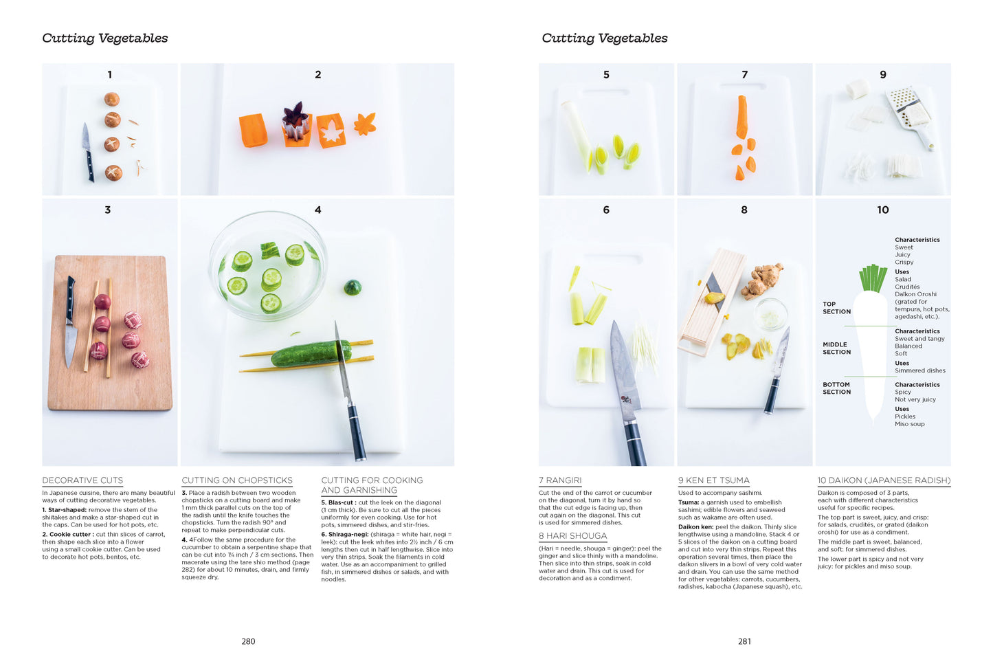 Complete Illustrated Guide To Japanese Cooking