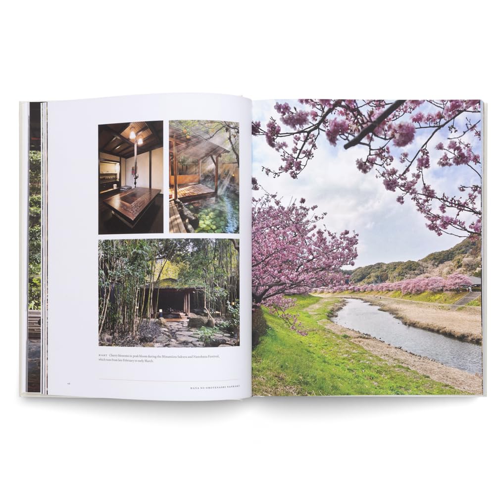 Onsen And Ryokan Of Japan