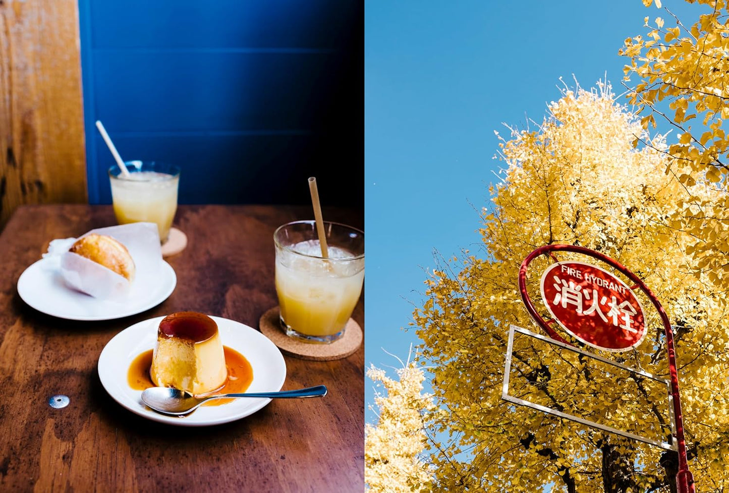 A Day in Tokyo: A Japanese Cookbook