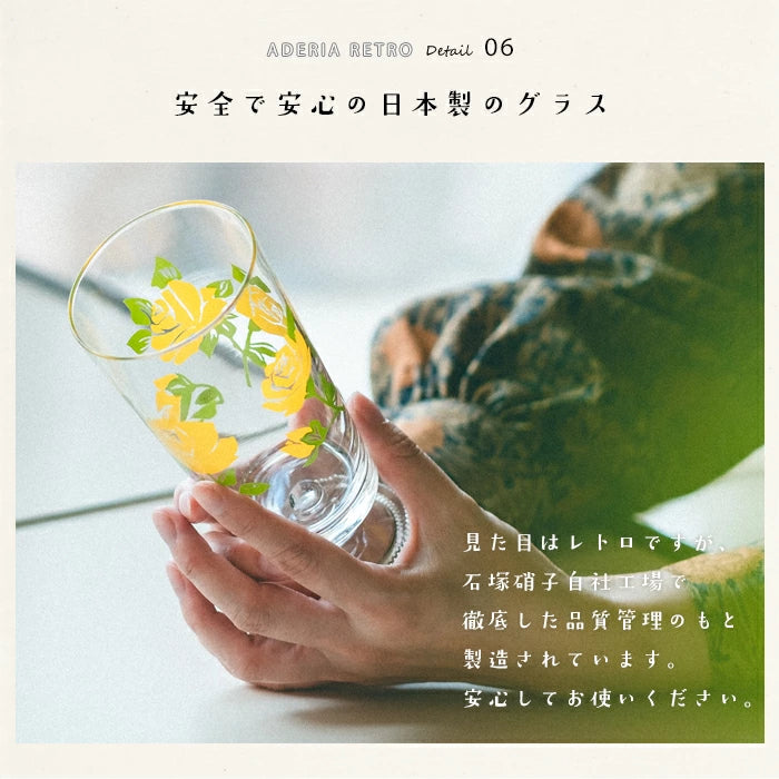 Aderia Retro Hananowa Gift Box Stemmed Glass 305ml