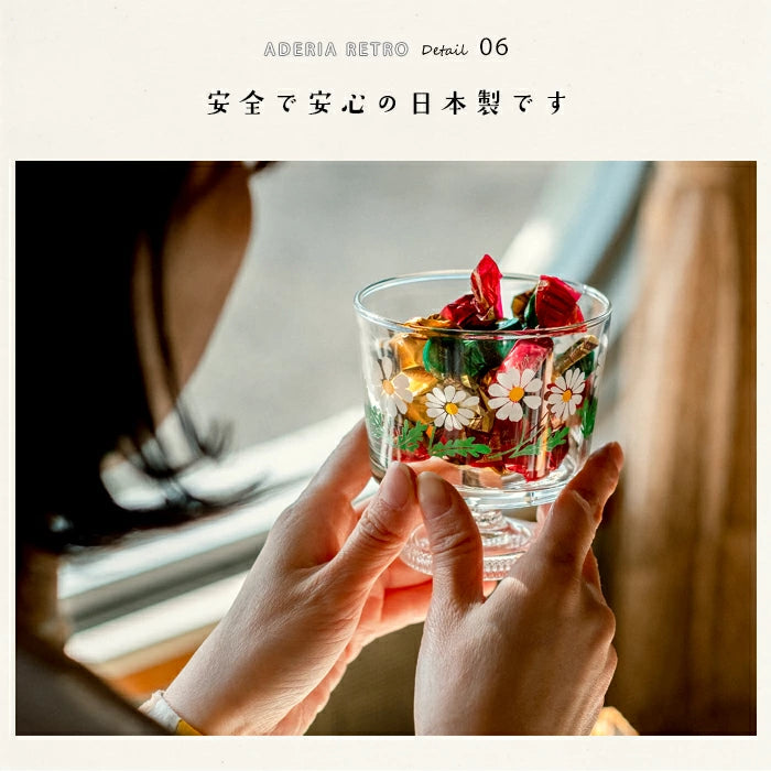 Aderia Retro Hananowa Gift Box Dessert Glass 285ml