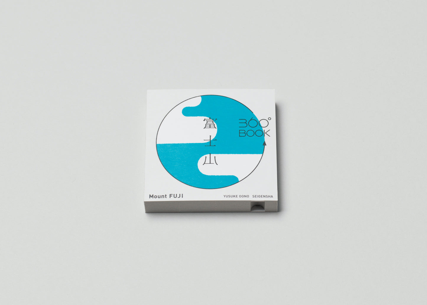Book titled 'Mount Fuji' with a blue and white design on a gray background