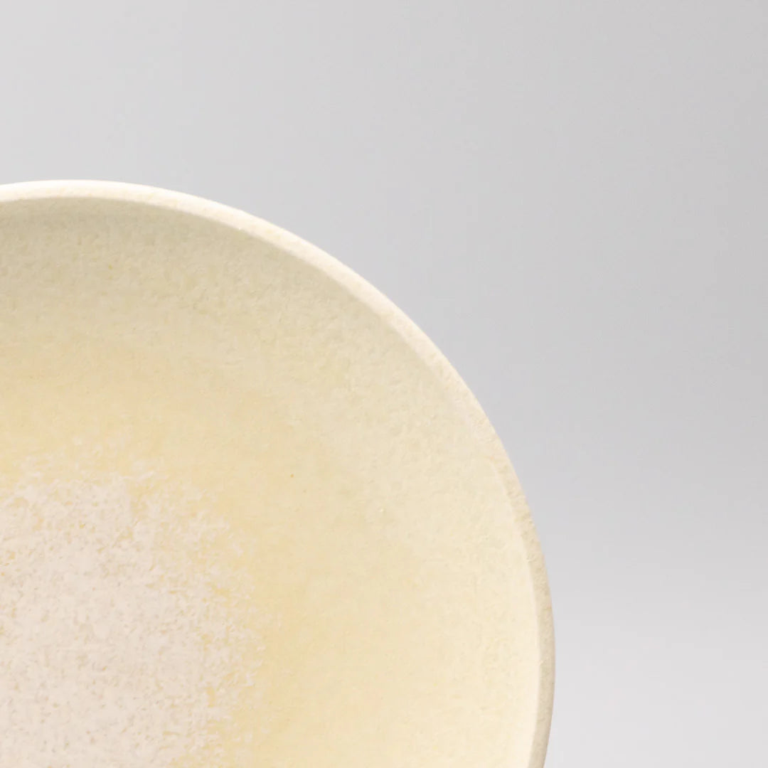 Close-up of a beige ceramic plate on a light gray background