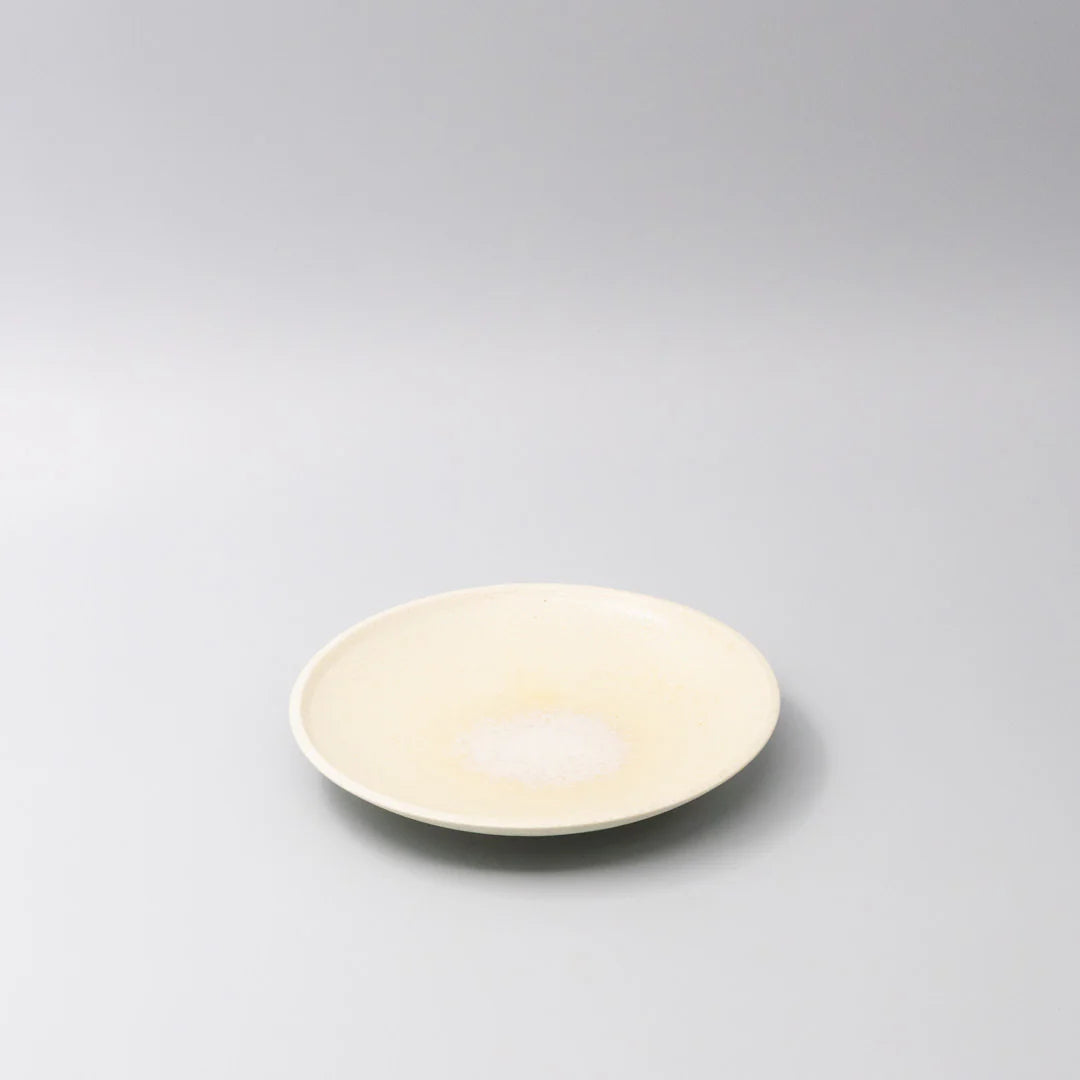 White ceramic plate on a light gray background