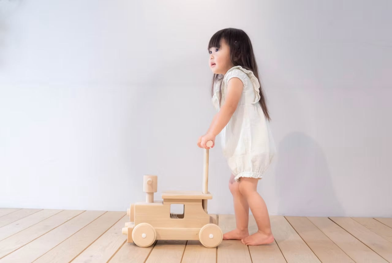 Tetetoys Choo Choo Train Rider & Walker