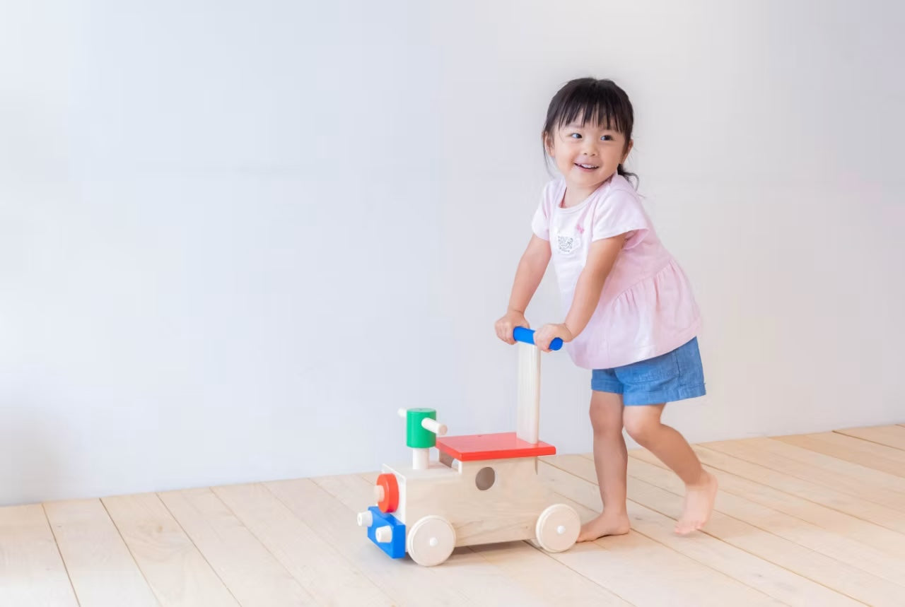 Tetetoys Coloured Choo Choo Train Rider & Walker