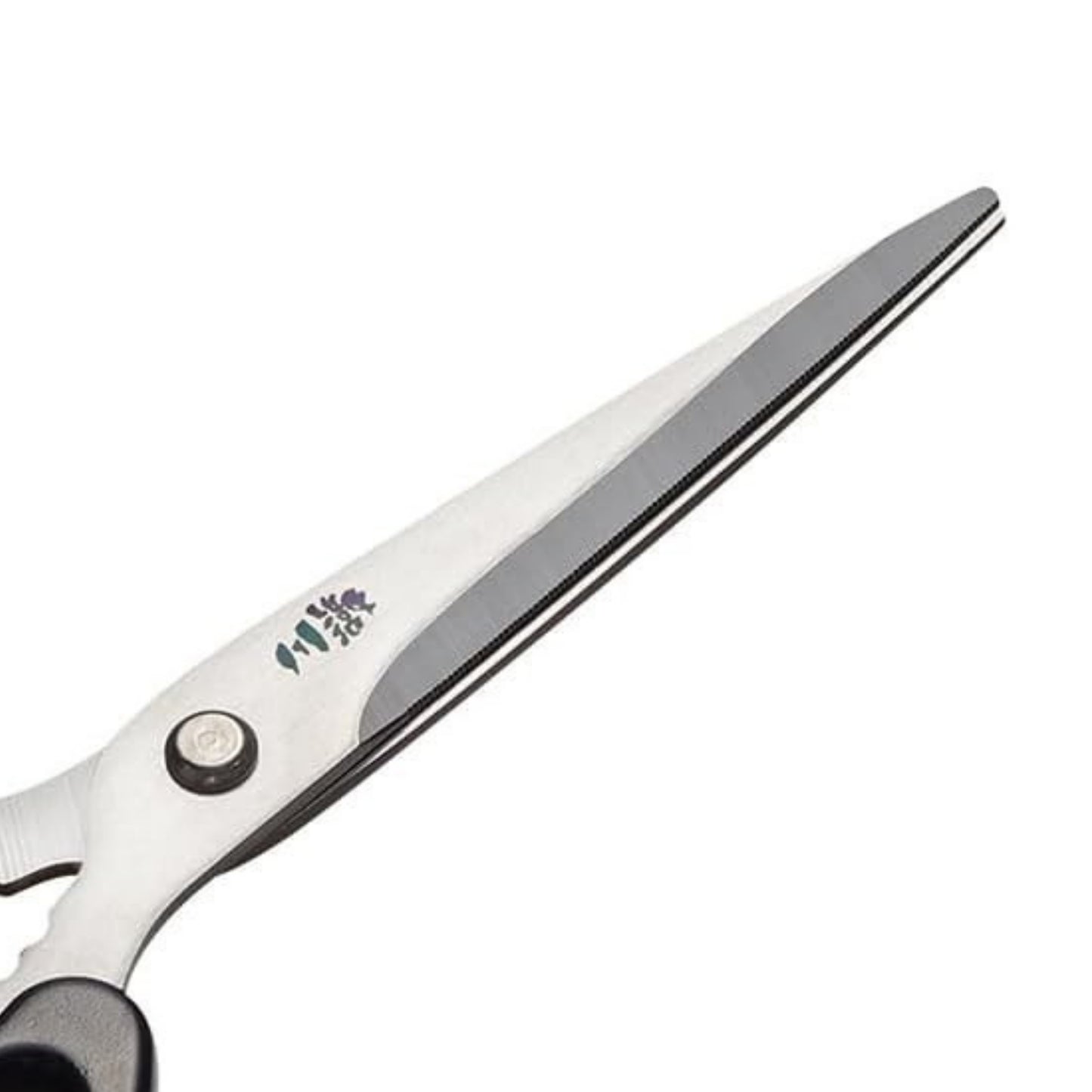 Enzo Stainless Steel Santoku Knife 16.5cm & Kitchen Scissors Set