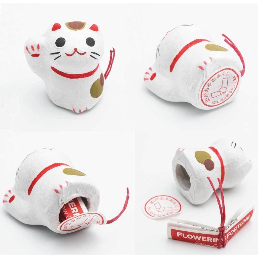 Noted Flowering Fortune Seed Paper Token - Red Daruma