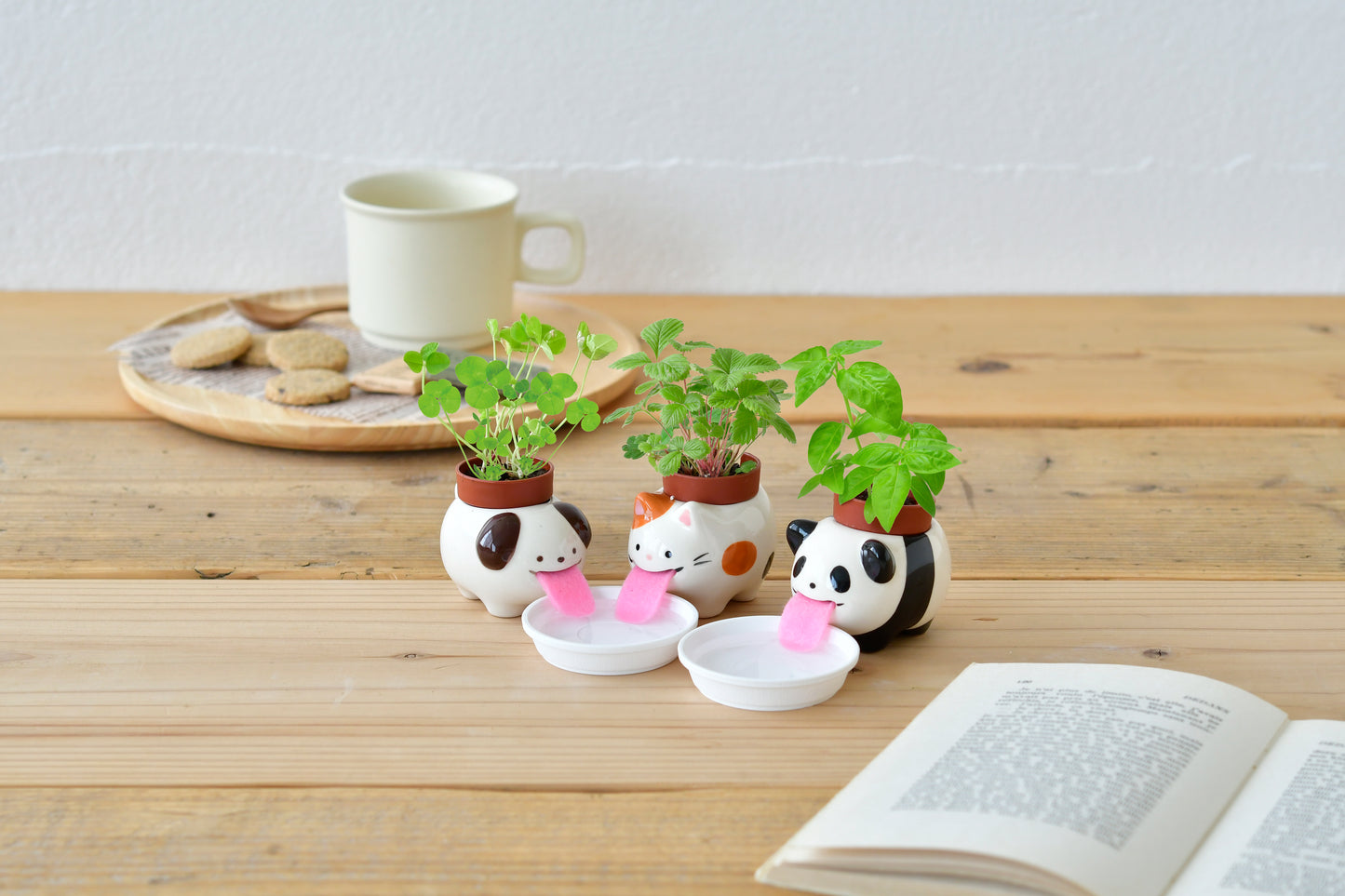 Noted Peropon Plant Growing Kit - Cat (Wild Strawberry)