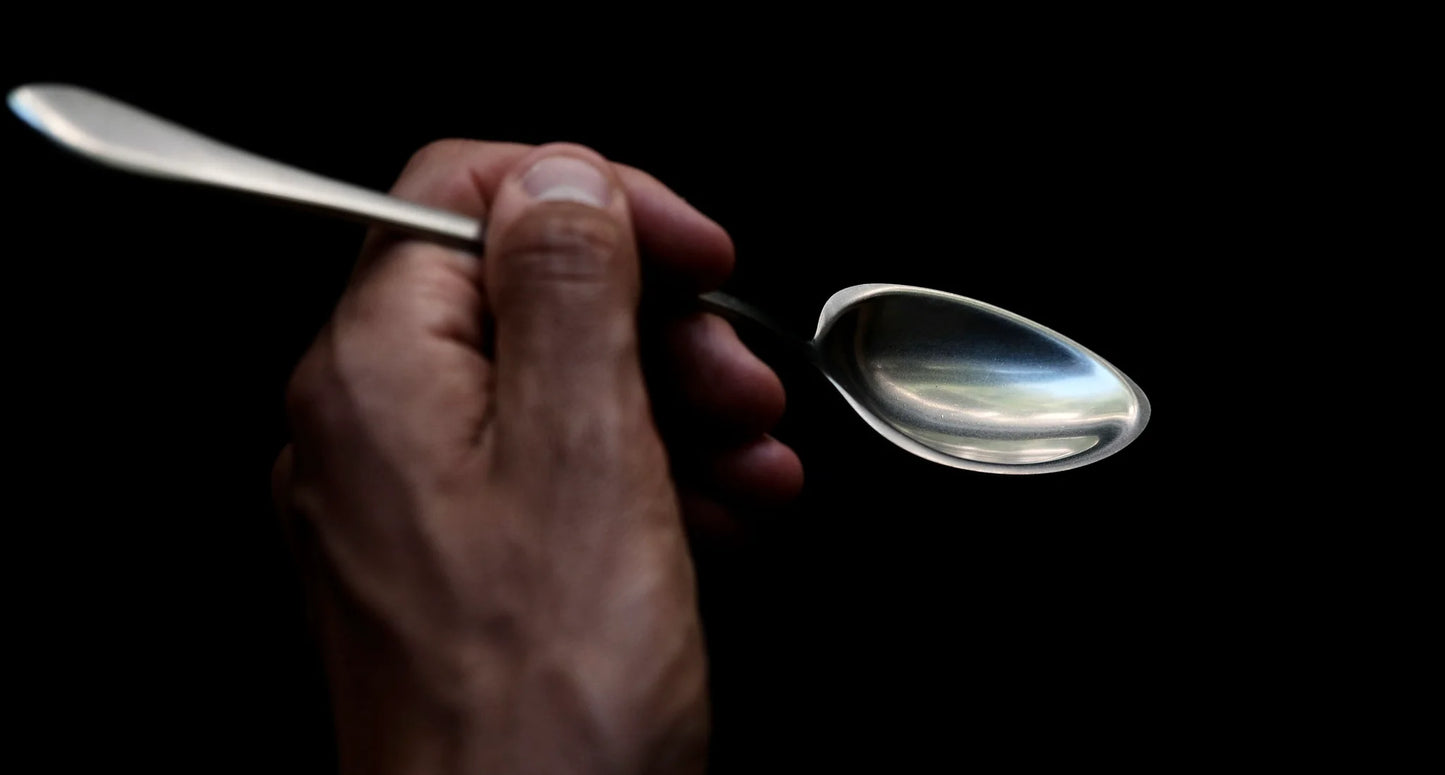 Gestura Stainless Steel Serving Spoon 23.5cm