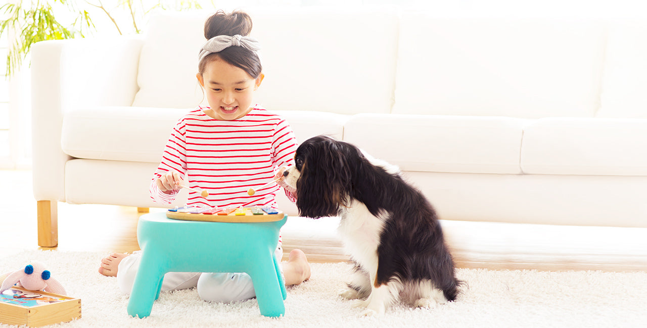 Hasegawa Purill Kids Step Stool - Yellow