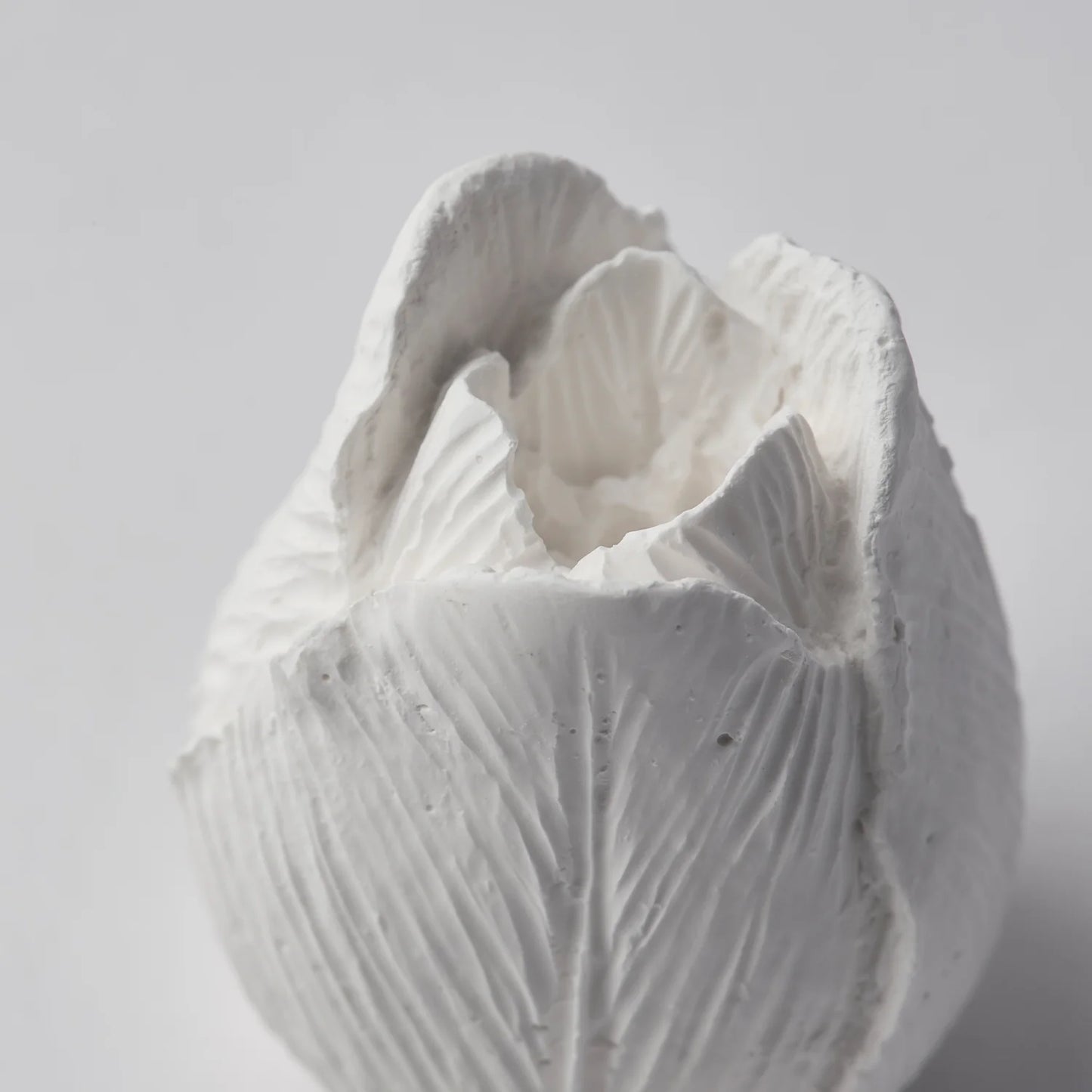 Incense Holder & Aroma Ornament - Tulip Flower