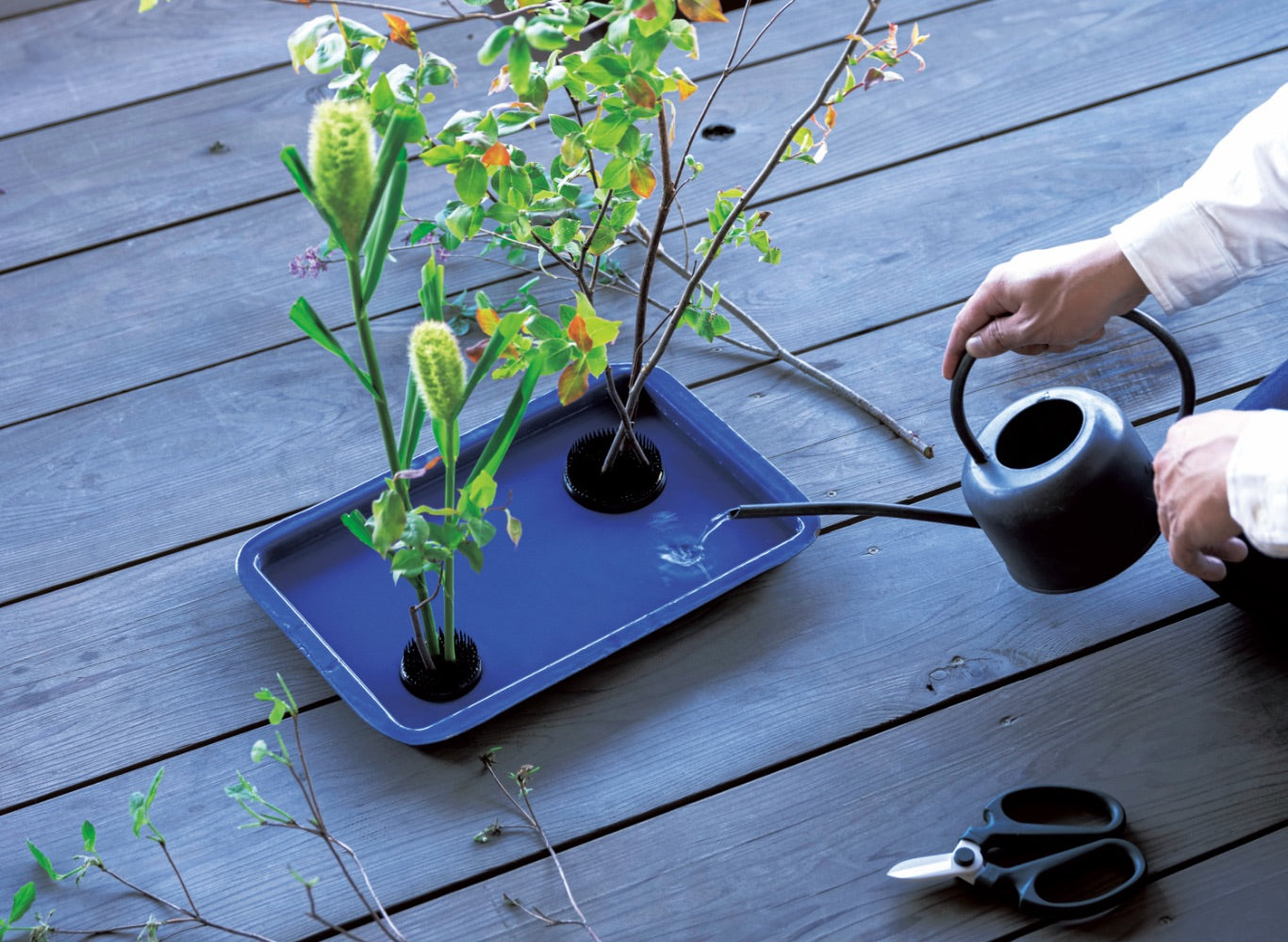 Ishizaki Rin Stainless Steel Black Round Kenzan 6cm