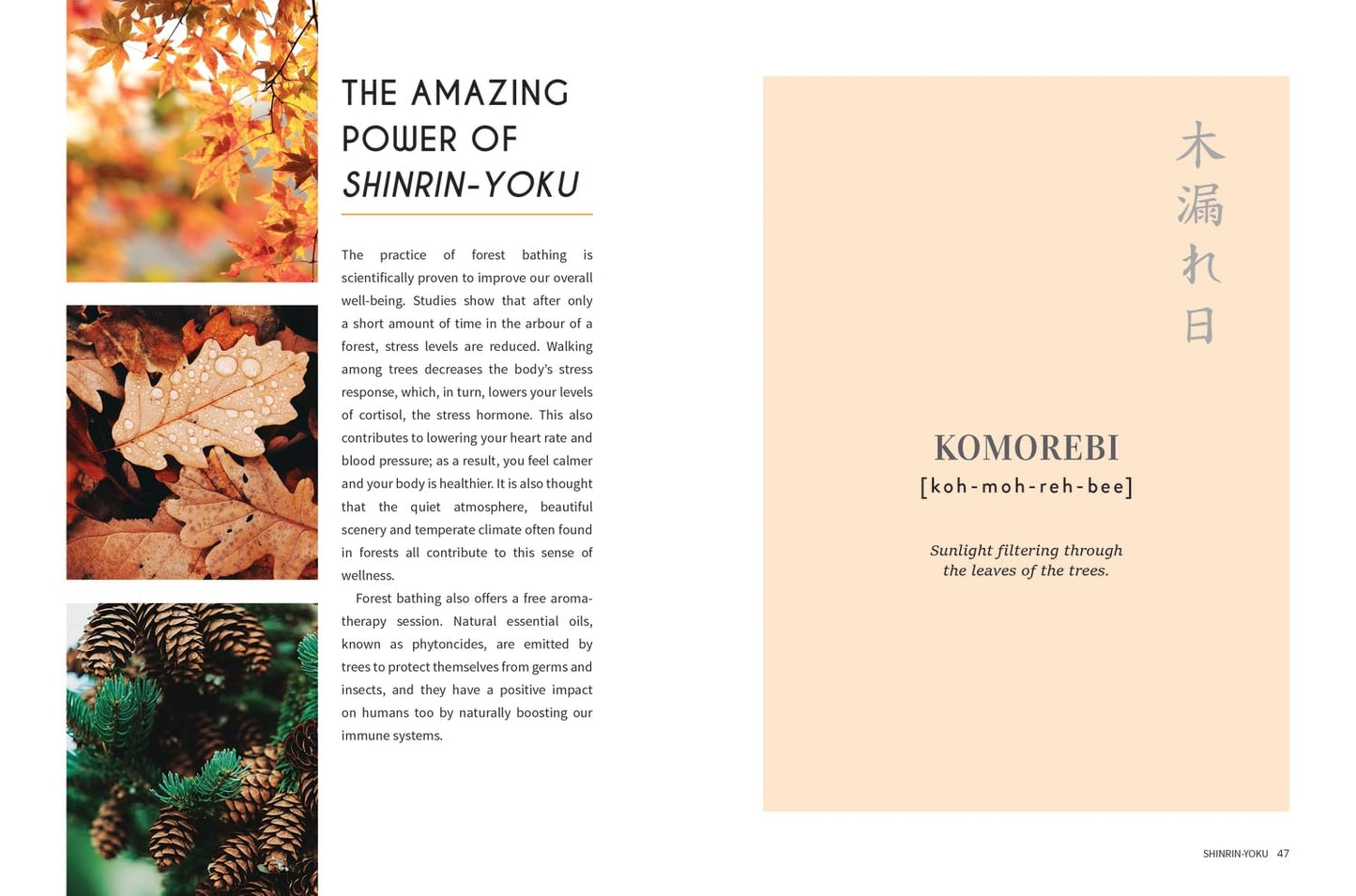 Japanese Living: Bring Mindfulness, Joy and Simplicity Into Your Life