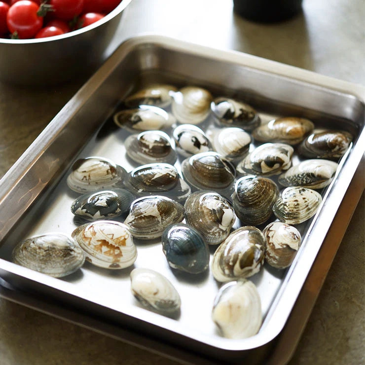 La Base Stainless Steel Rectangular Plate