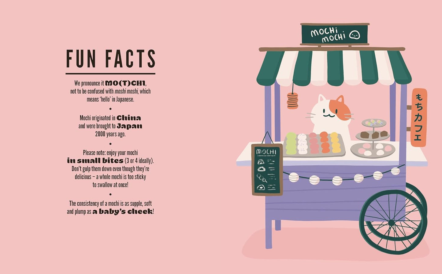 MOCHI: Make Your Own At Home (Smith Street)