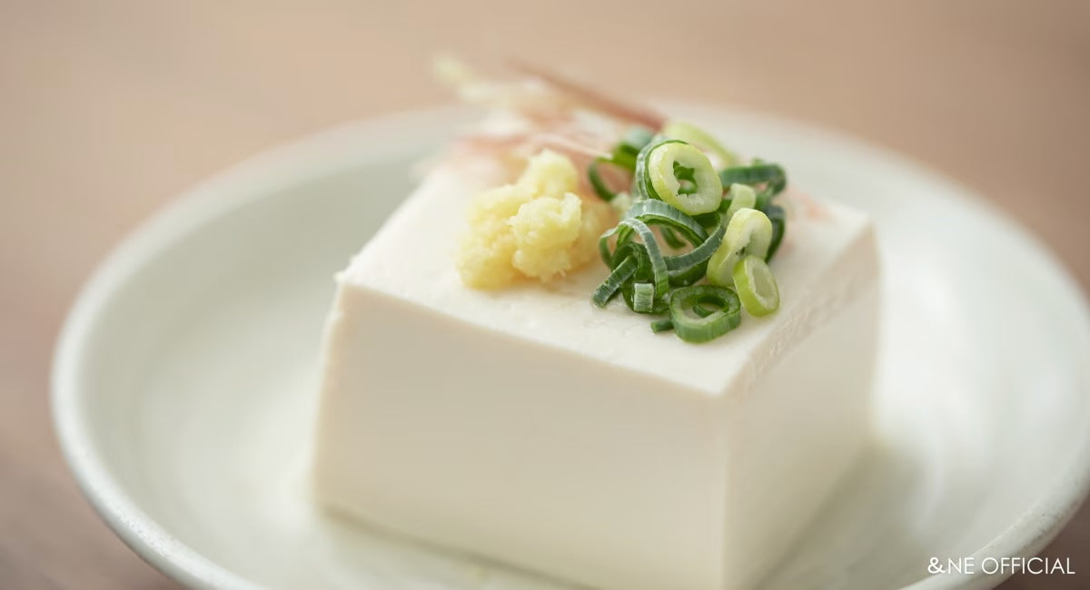 Motoshige Iwami Ware Japanese Ceramic Ginger Grater 10cm - White