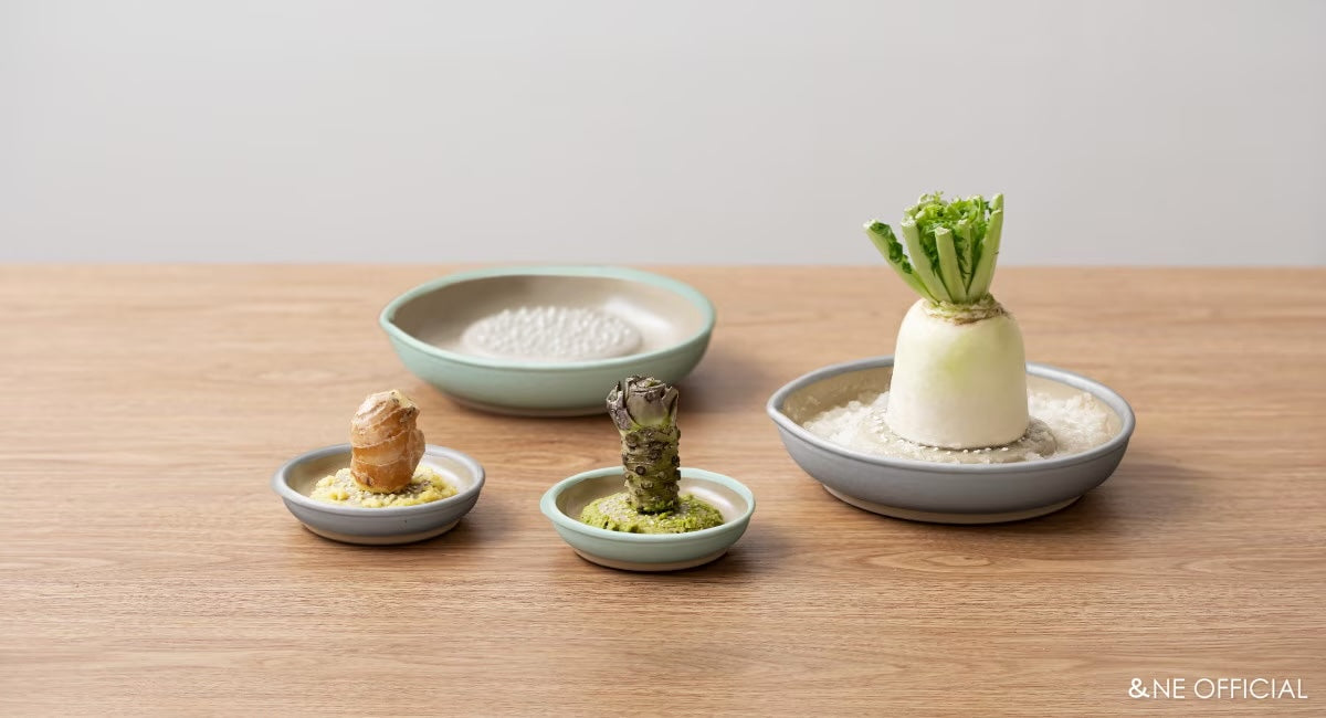 Motoshige Iwami Ware Japanese Ceramic Ginger Grater 10cm - White
