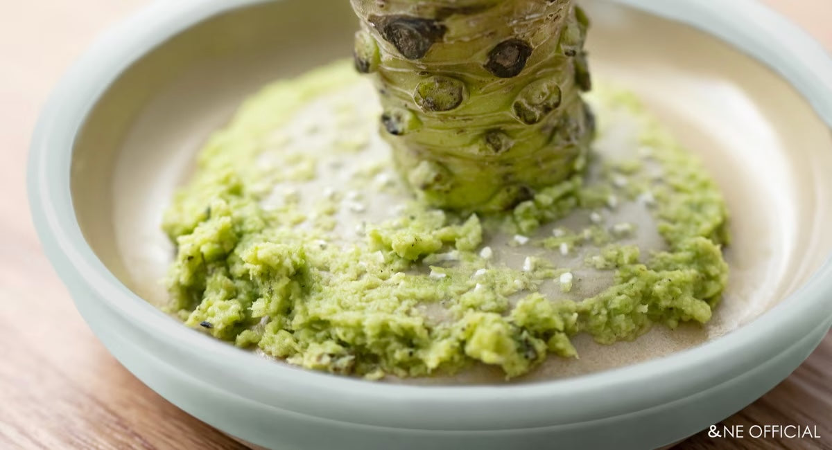 Motoshige Iwami Ware Japanese Ceramic Ginger Grater 10cm - White