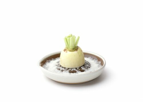 Motoshige Japanese Ceramic Ginger Grater 18cm - White
