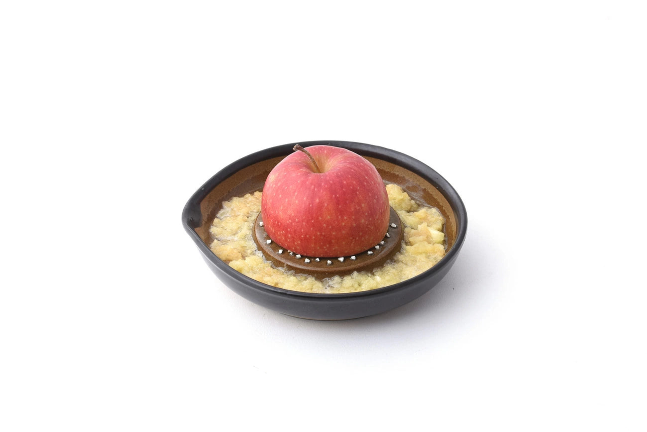 Motoshige Japanese Ceramic Ginger Grater 10cm - White