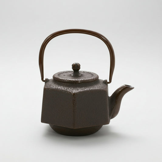Nambu Cast Iron Hexagonal Teapot 500ml