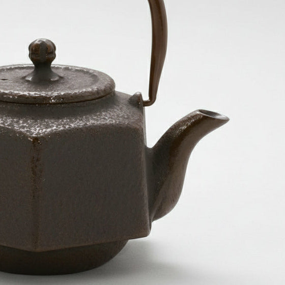 Nambu Cast Iron Hexagonal Teapot 500ml