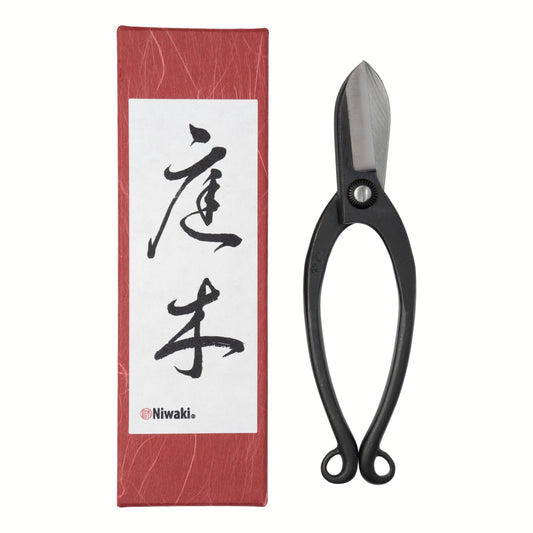 Niwaki Sentei Ikebana