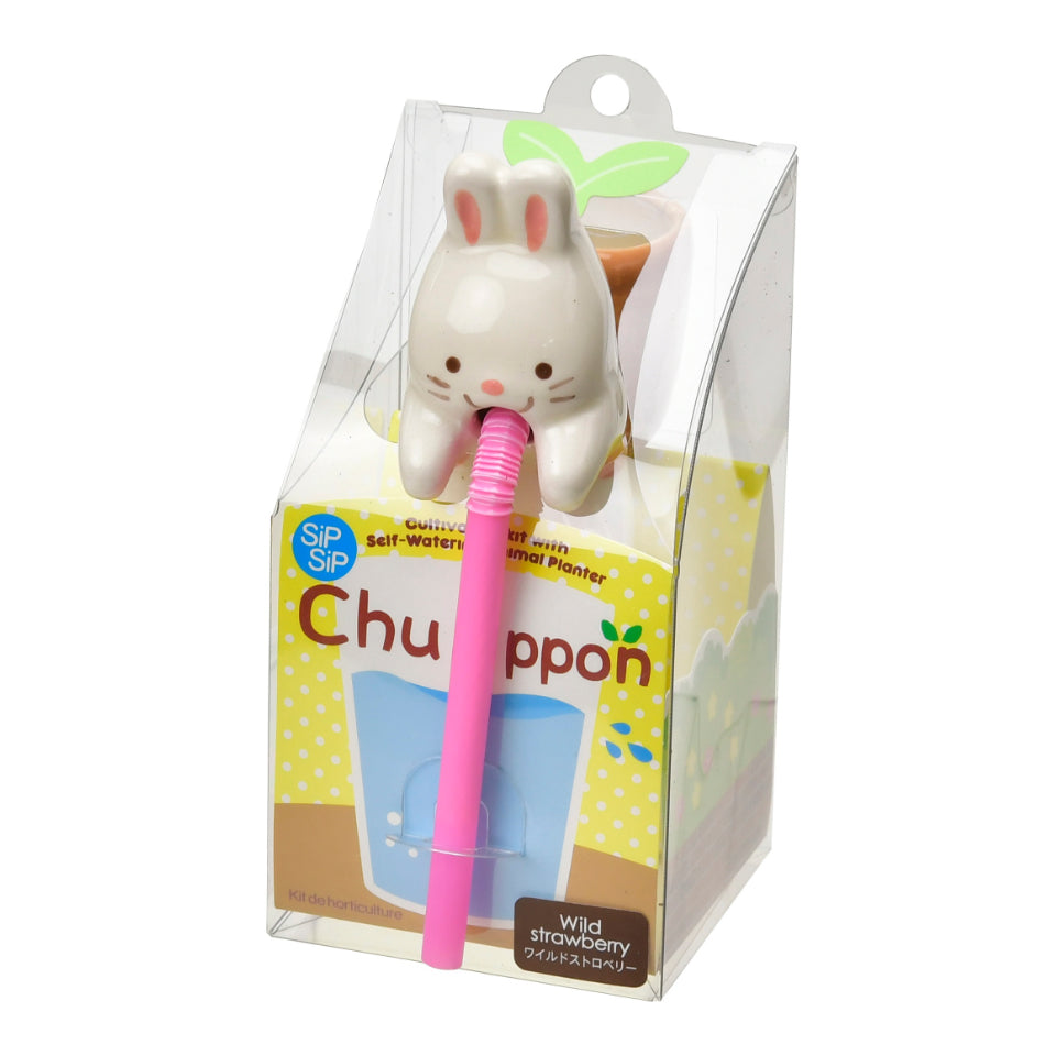 Noted Chuppon Plant Growing Kit - Bunny (Wild Strawberry)