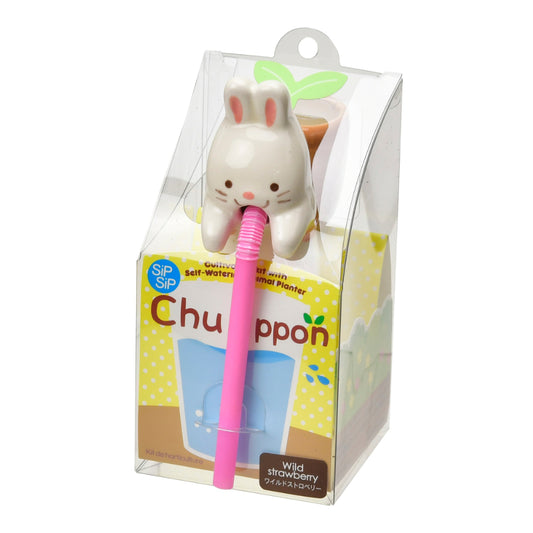 Noted Chuppon Plant Growing Kit - Bunny (Wild Strawberry)