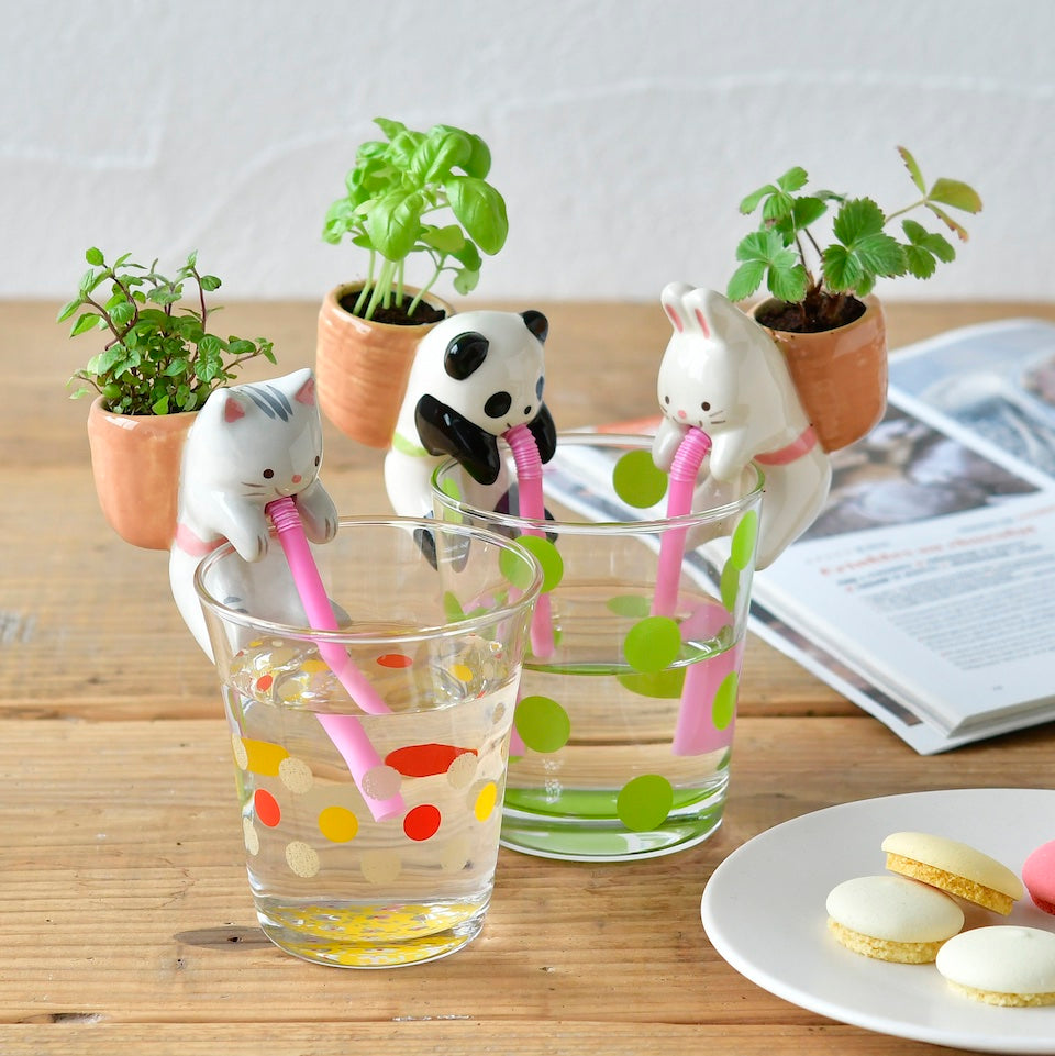 Noted Chuppon Plant Growing Kit - Bunny (Wild Strawberry)