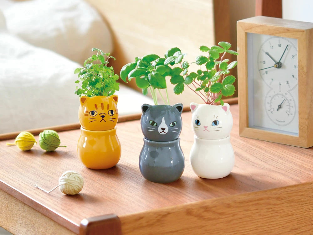 Noted Corocoro Cats Plant Growing Kit - Tabby Cat (Peppermint)