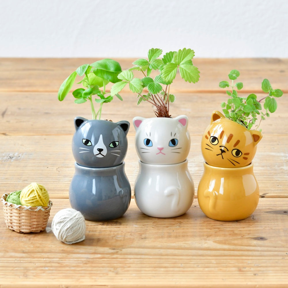 Noted Corocoro Cats Plant Growing Kit - Tabby Cat (Peppermint)