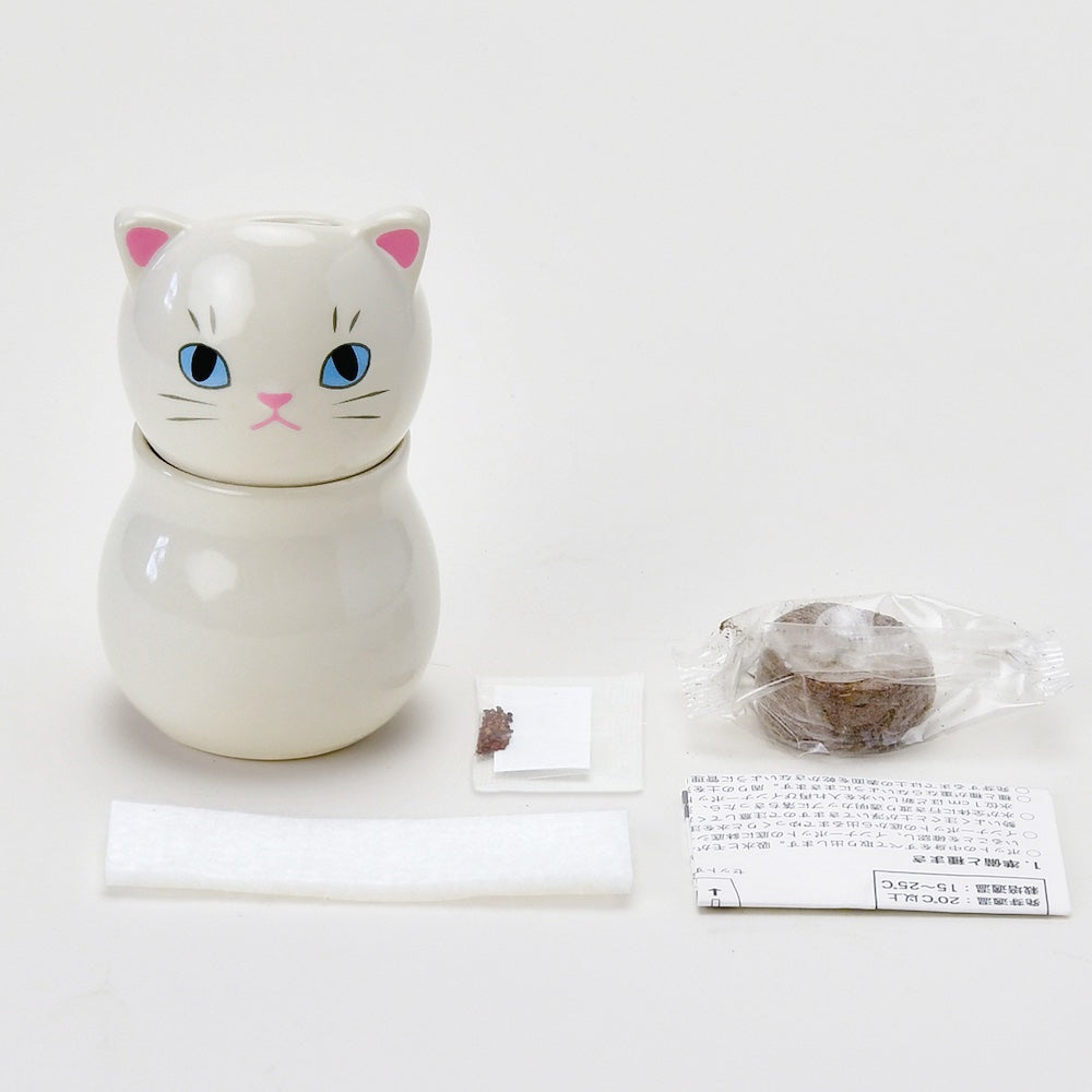 Noted Corocoro Cats Plant Growing Kit - Tabby Cat (Peppermint)