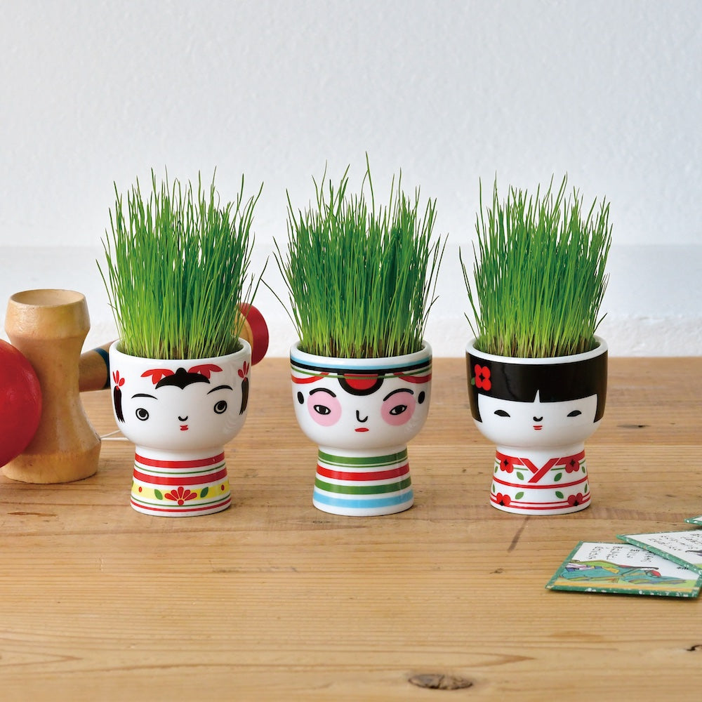 Noted Kokeshi Dolls Plant Growing Kit - Ochobo Doll