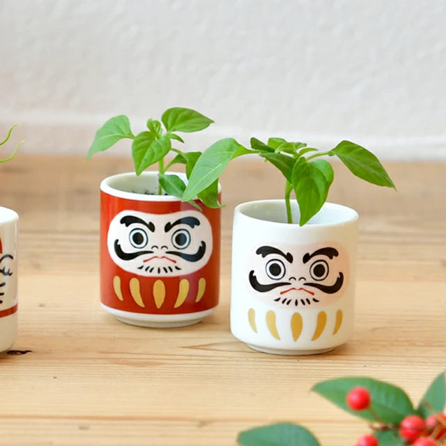 Noted Lucky Plants Plant Growing Kit - Maneki Neko