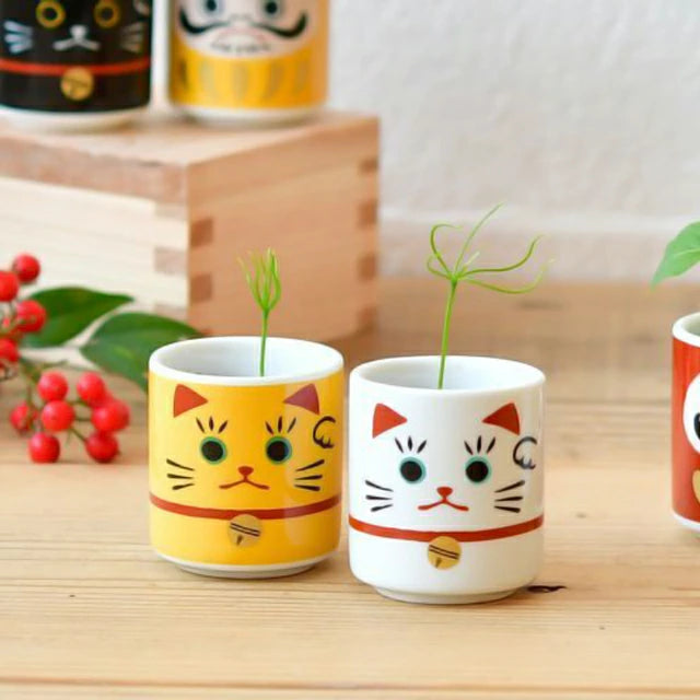 Noted Lucky Plants Plant Growing Kit - Maneki Neko