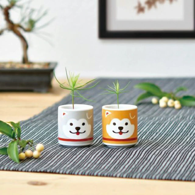 Noted Lucky Plants Plant Growing Kit - Maneki Neko