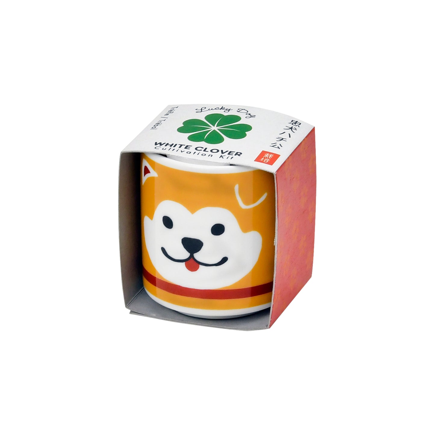 Noted Lucky Plants Plant Growing Kit - Hachi Dog