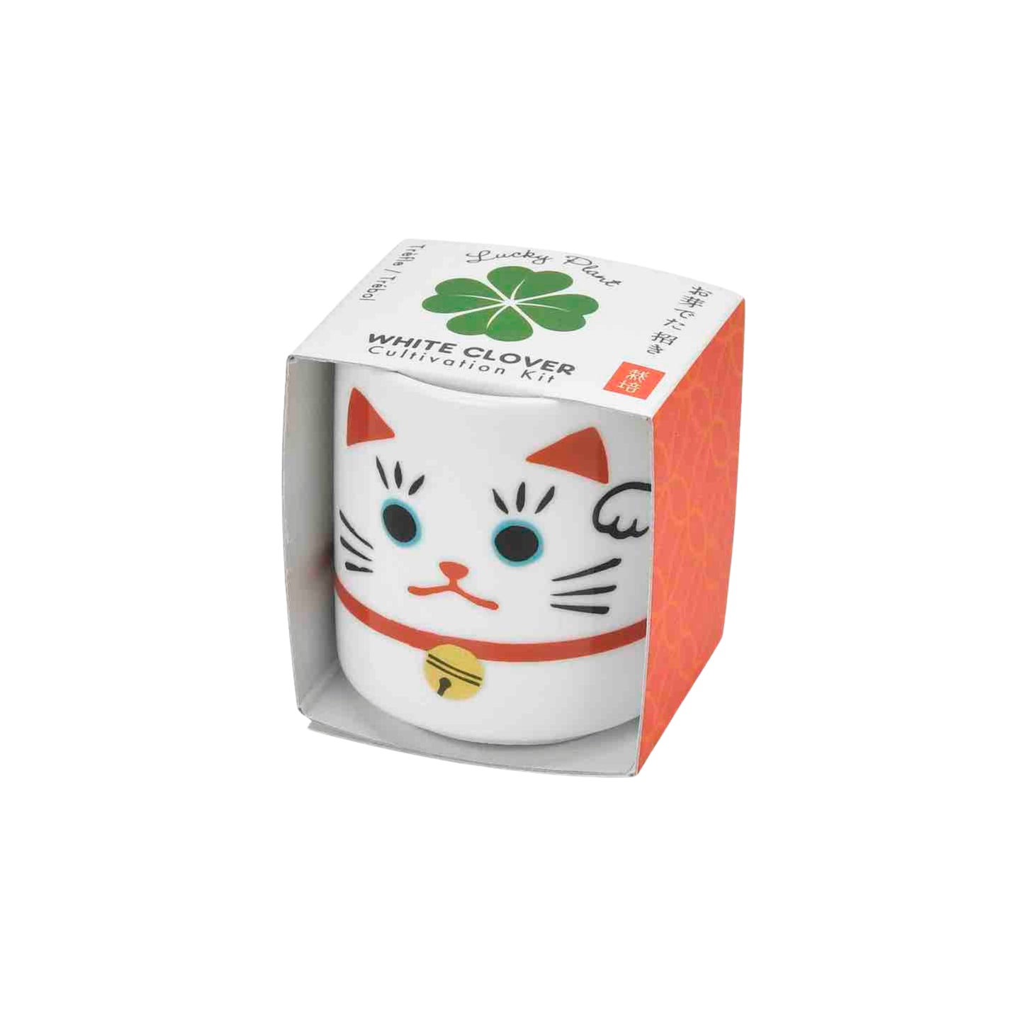Noted Lucky Plants Plant Growing Kit - Maneki Neko