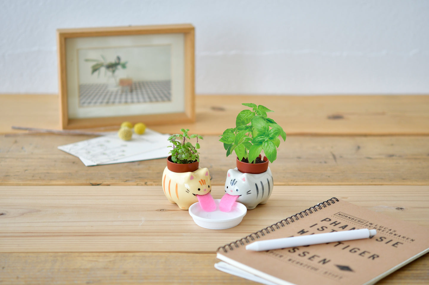 Noted Peropon Plant Growing Kit - Cat (Wild Strawberry)