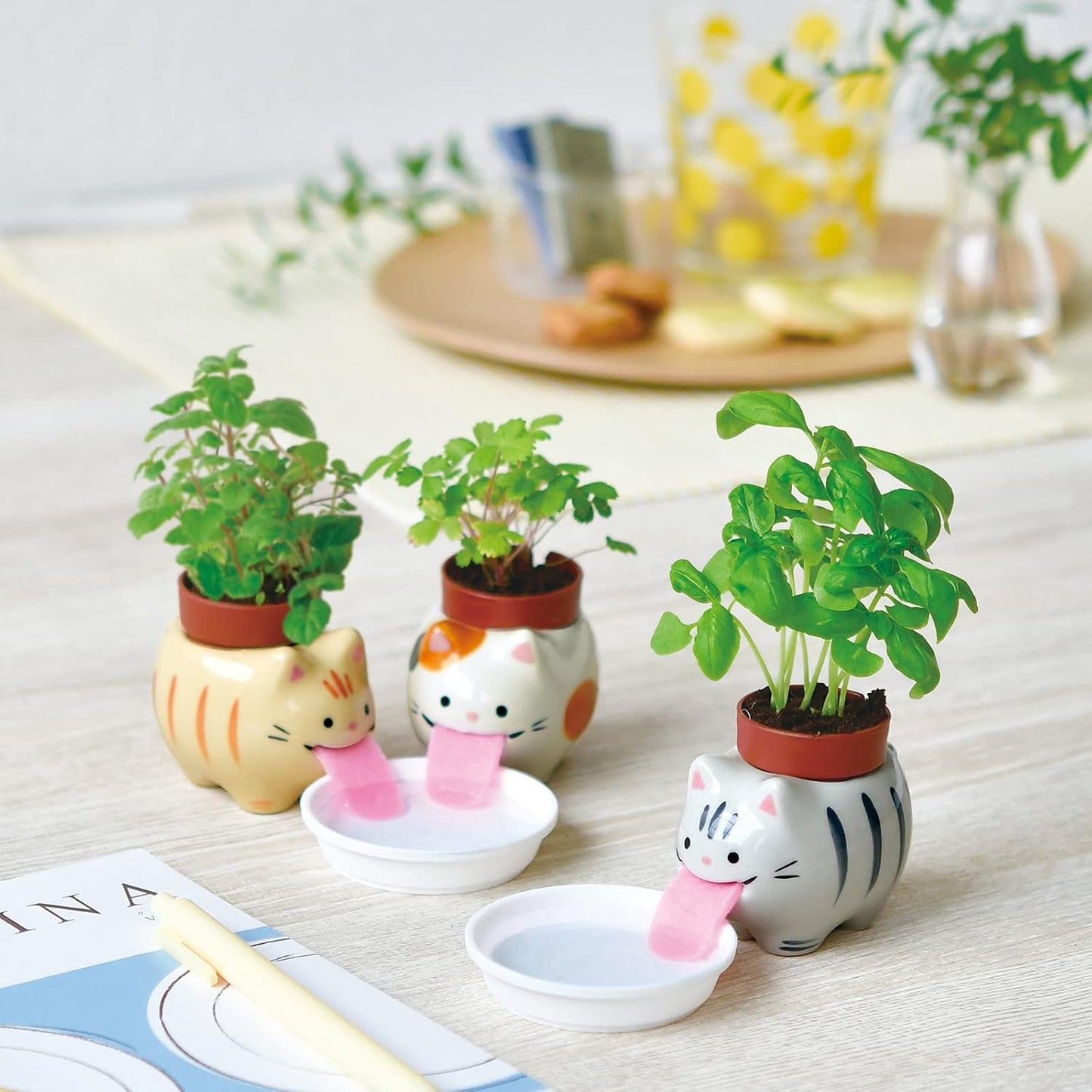 Noted Peropon Plant Growing Kit - Cat (Wild Strawberry)