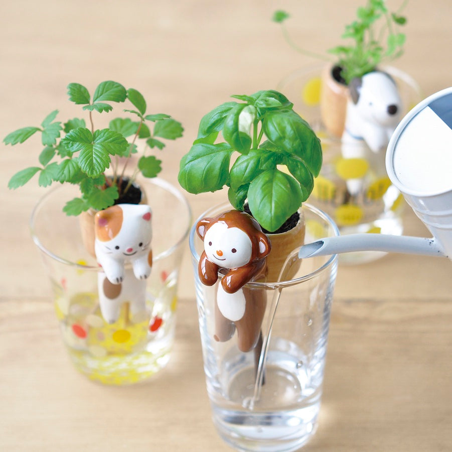 Noted Shippon Plant Growing Kit - Monkey (Sweet Basil)