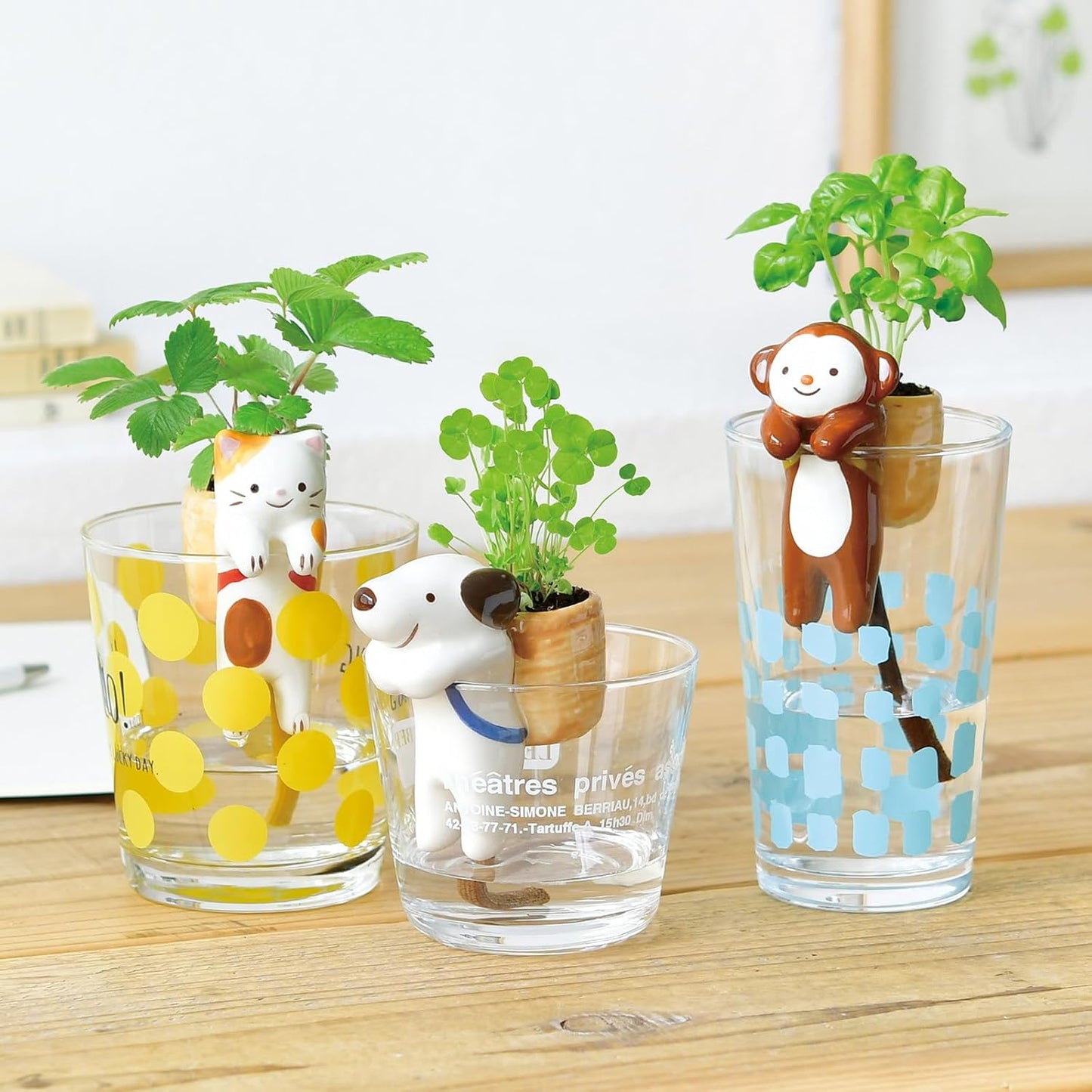 Noted Shippon Plant Growing Kit - Monkey (Sweet Basil)